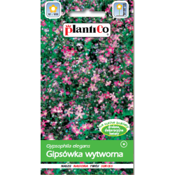 Gipsówka wytworna różowa 1g ST/Pl